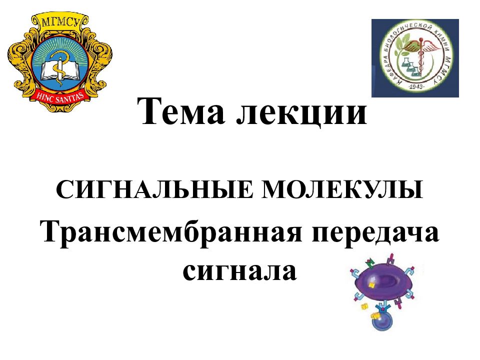 Тема лекции