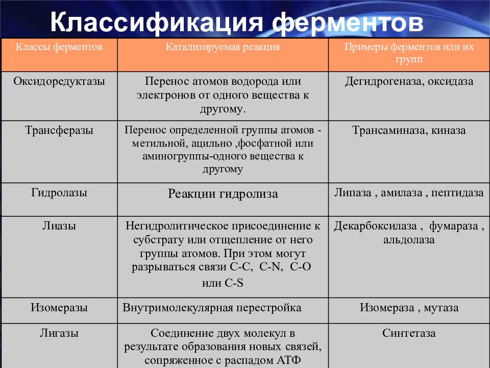 Классификация ферментов картинки