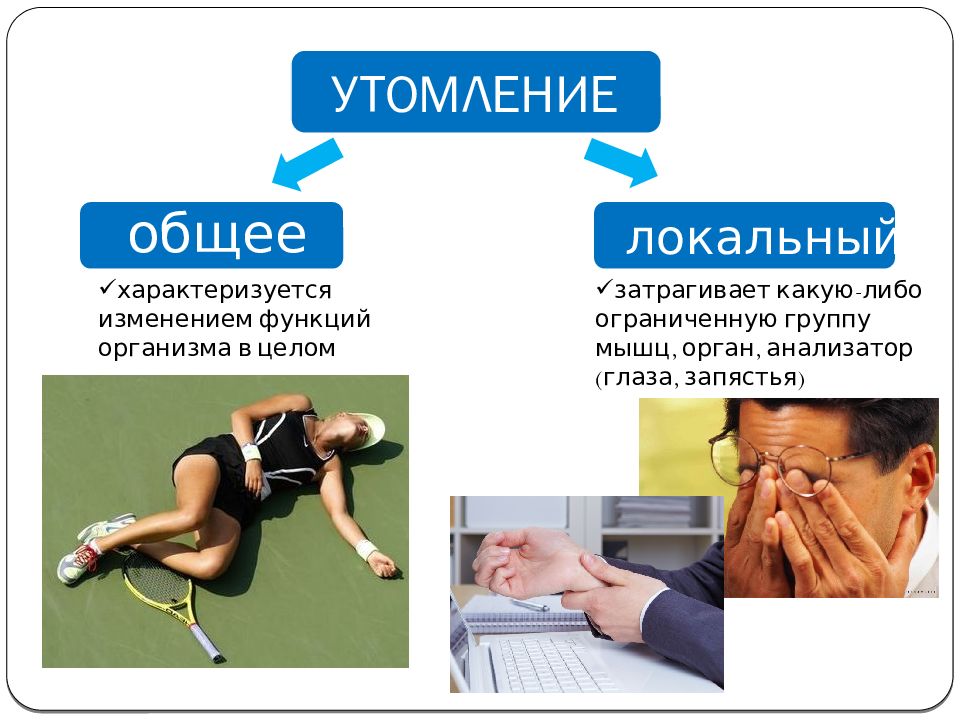 Физическая работоспособность и утомление презентация