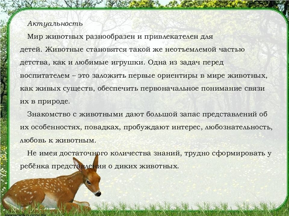 тема дикие животные в старшей группе. беседа на тему домашние животные в младшей группе. проект дикие животные младшей группе. коллективная работа лесные обитатели старшая группа. проект дикие животные младшей группе.