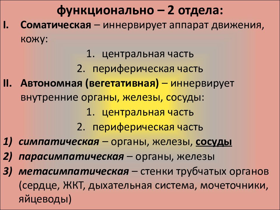 Общая характеристика нервной системы презентация