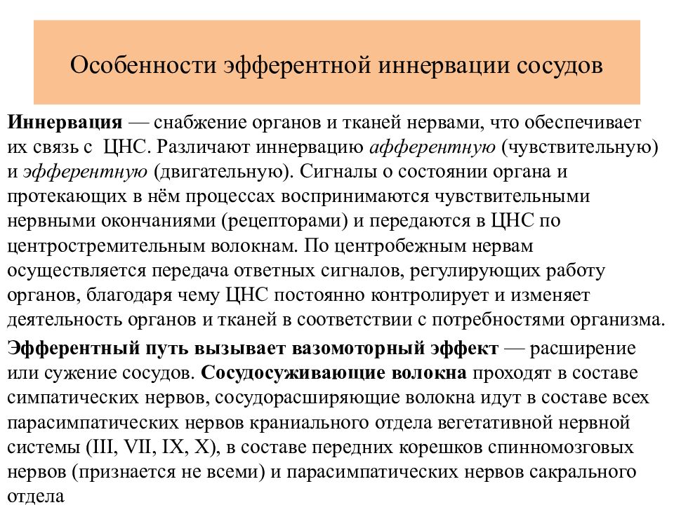 Иннервация сосудов. Особенности иннервации сосудов. Иннервация сосудов сосудосуживающие и сосудорасширяющие нервы. Иннервация сосудов сосудосуживающие нервы. Особенности эфферентной иннервации.