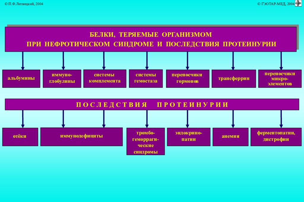 Патфиз. Протеинурия патофизиология. Патофизиология почек экскреторная функция. Функции почек патофизиология. Виды протеинурии патофизиология.