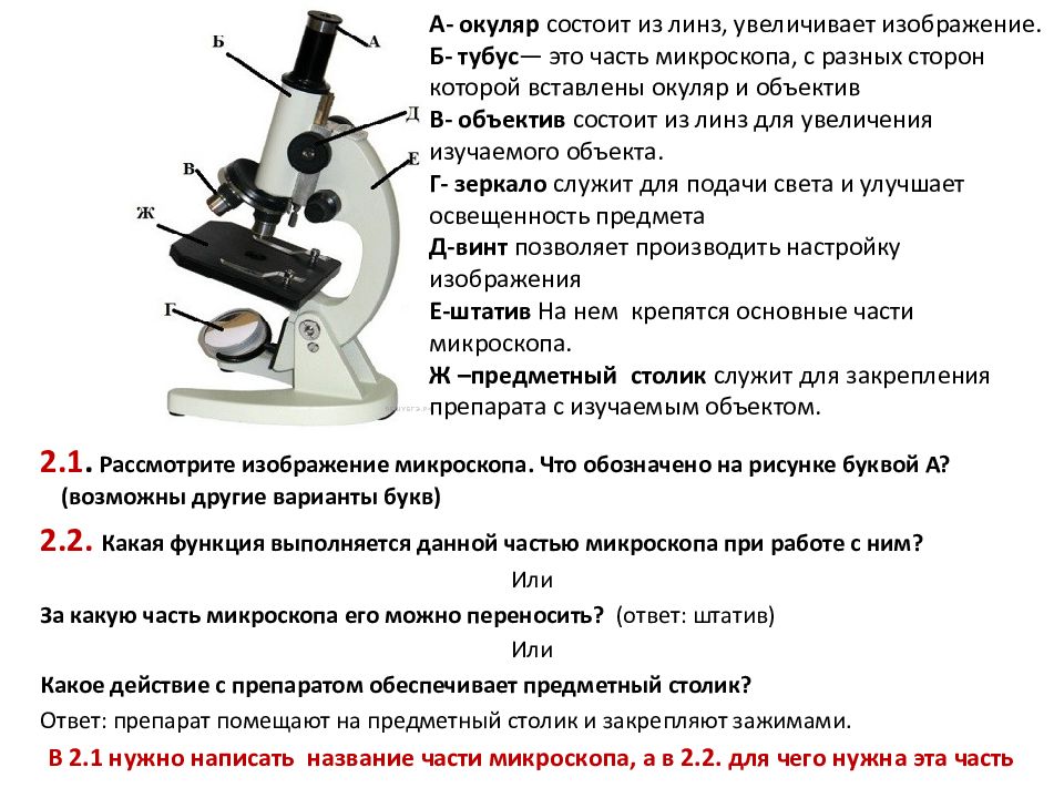 Строение микроскопа впр биология 5