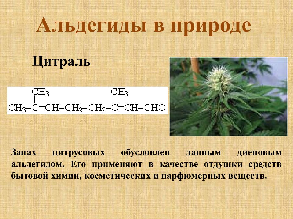 Презентация по теме альдегиды