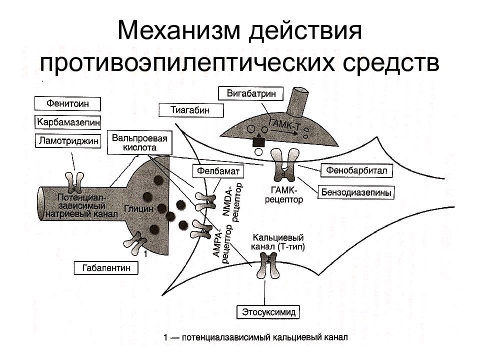 Механизм действия гамк схема