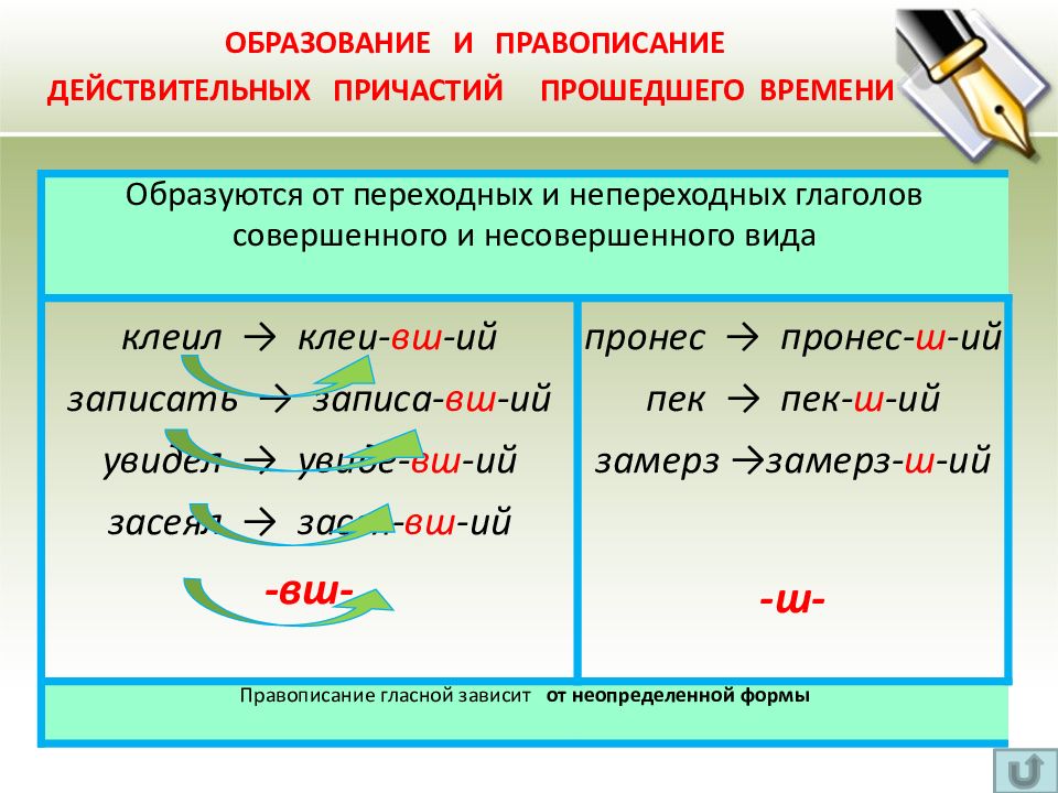 Презентация междометие 7 класс ладыженская