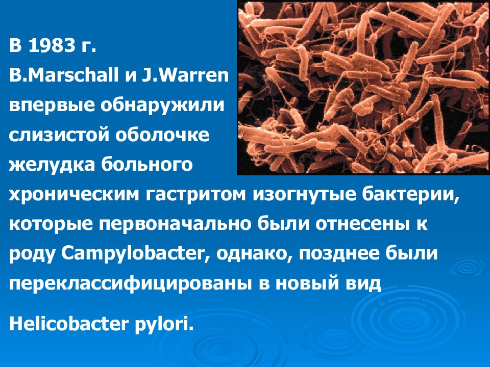 Ассоциированные с helicobacter pylori