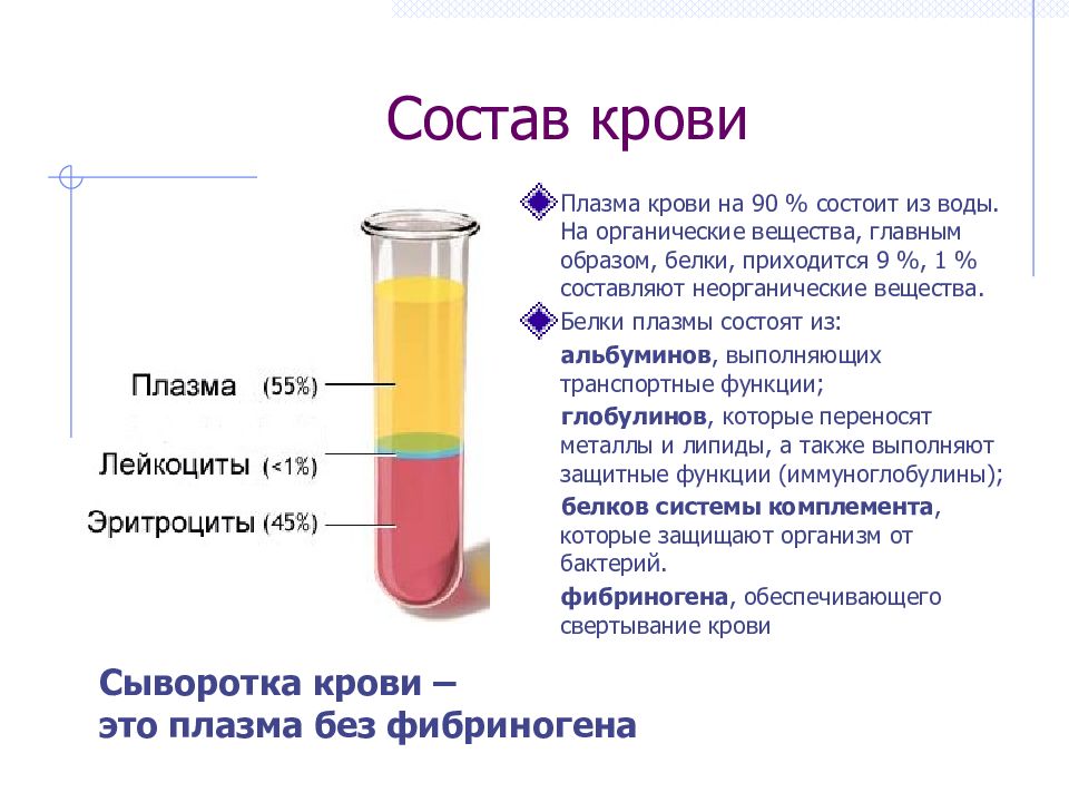 Плазма крови картинки для презентации