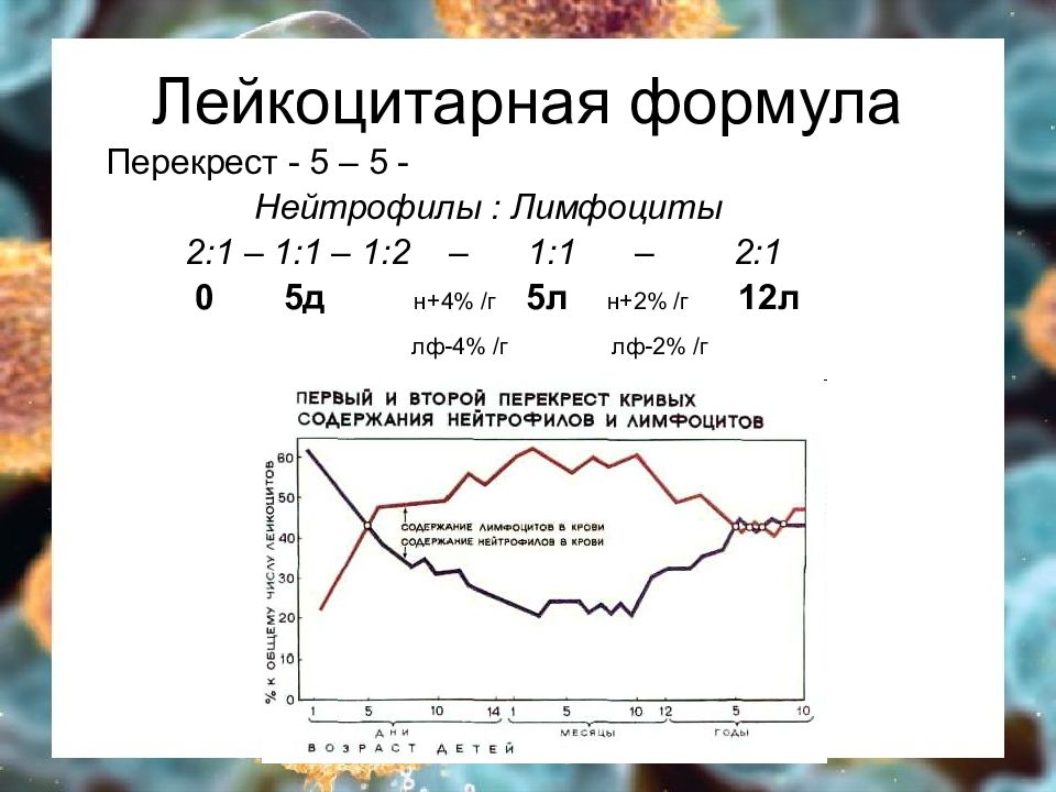 Лейкоцитарная формула микроскопия расшифровка