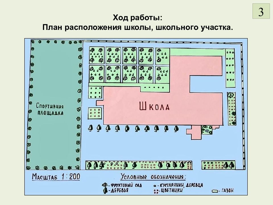 План карта 3. План пришкольного участка. План местности школы. План расположения школы. План участка школы.