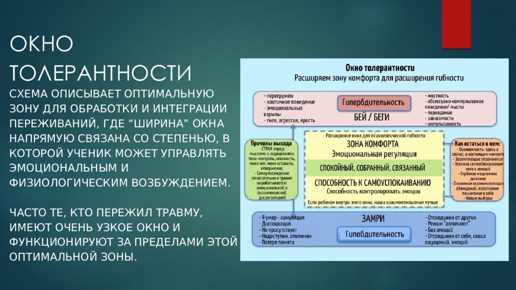 Окно толерантности прикорм