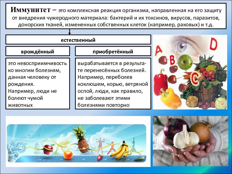 Иммунитет презентация 10 класс биология