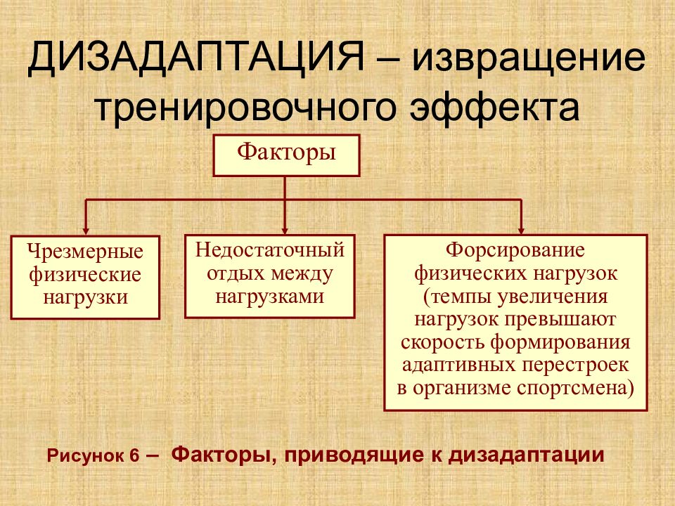 Презентация на тему адаптации человеческого организма к физическим нагрузкам