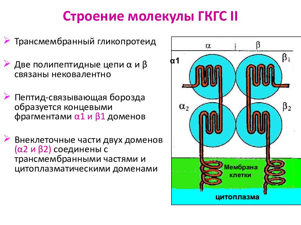 Функции молекул