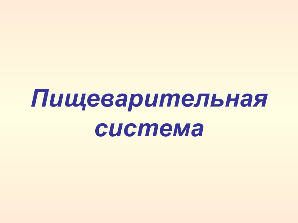 Пищеварительная система