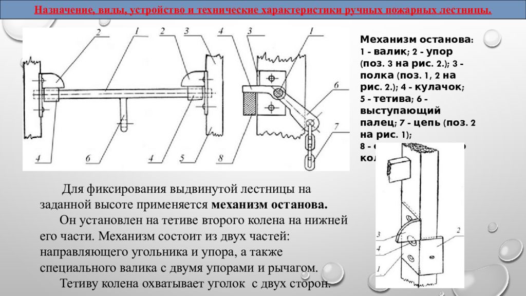 Назначение виды устройство и использование пожарных лестниц. Назначение виды устройство и использование пожарных лестниц