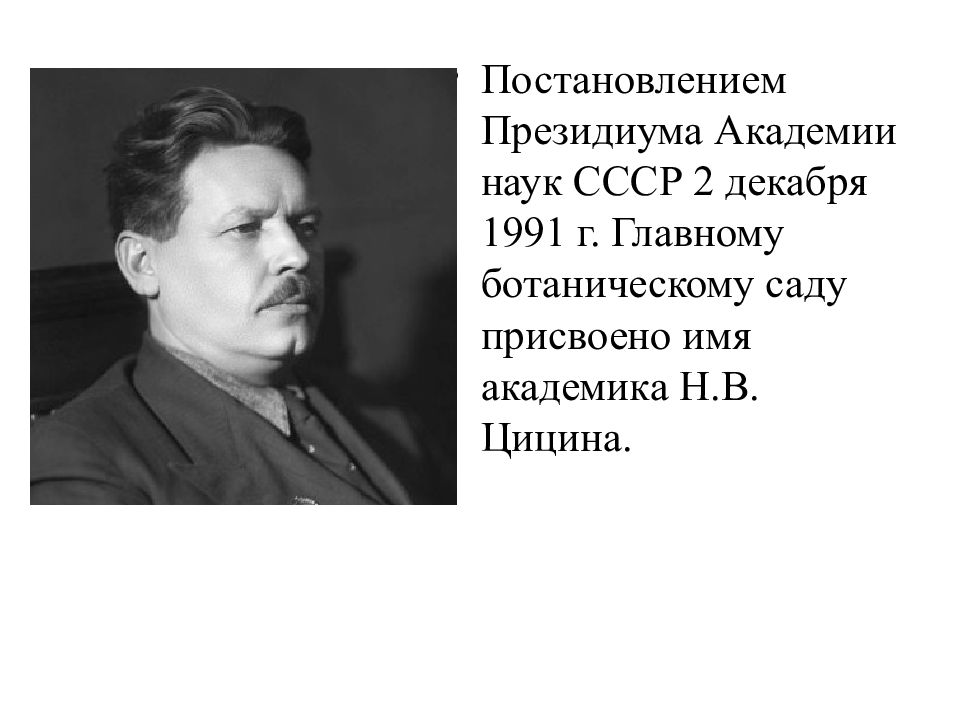 Академик н п бочков. Цицин селекционер достижения. Цицин Николай Васильевич достижения в селекции. Цицин селекция. Цицин достижения в селекции.