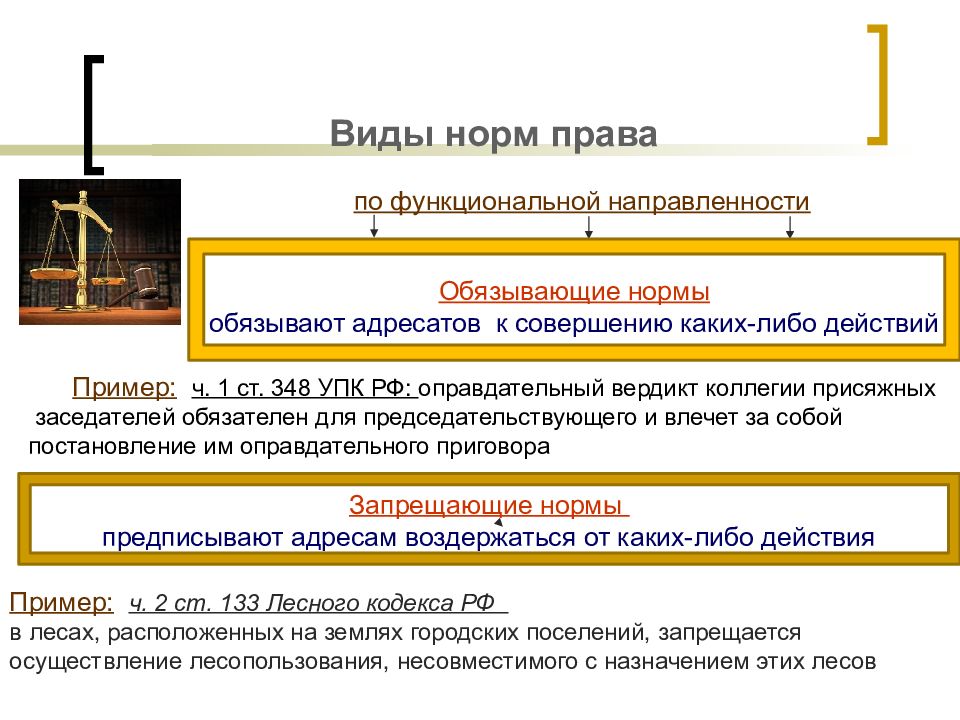 Структура обязывающих норм