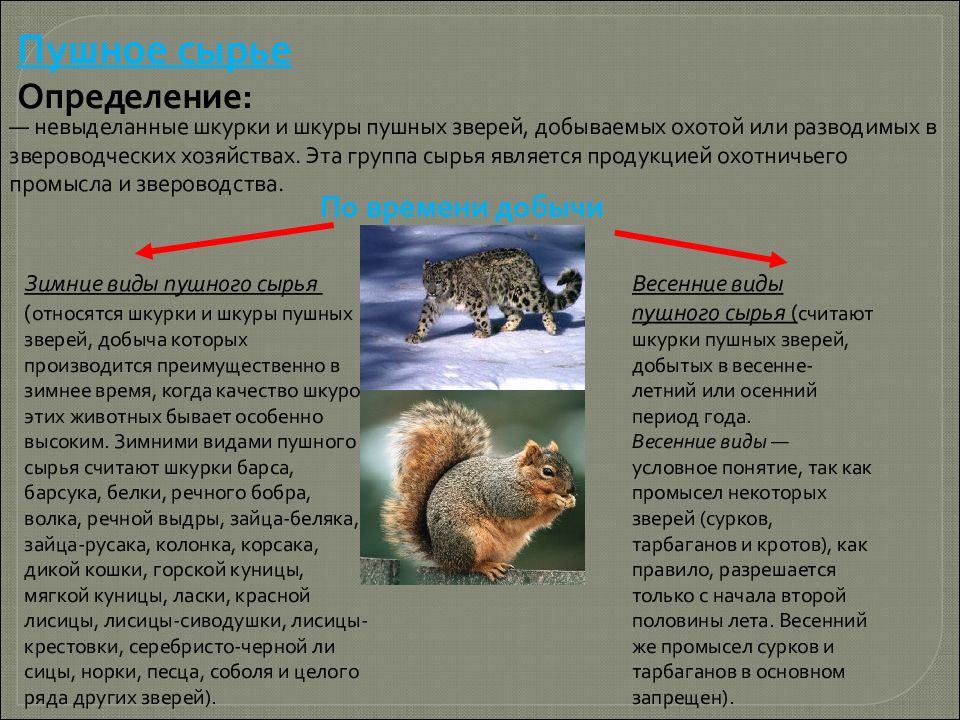 Назовите зимние виды пушного полуфабриката. Классификация пушно-мехового сырья. Кряж пушной шкурки определяется. Ассортимент пушных полуфабрикатов. Классификация пушных зверей.