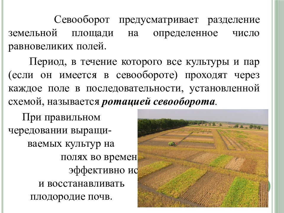 Период поле. Севообороты в лесных питомниках. Организация севооборотов. Севооборот поле. Севооборот в питомнике.