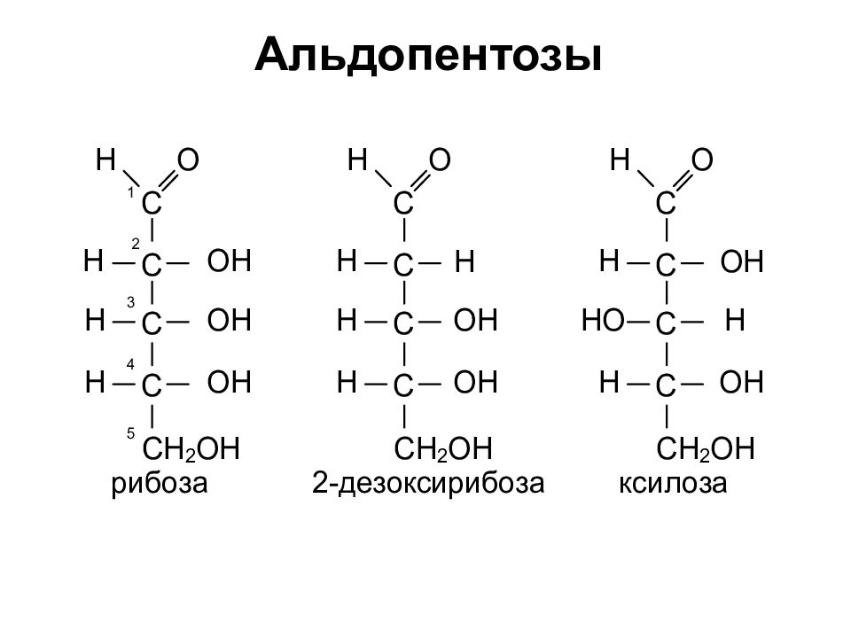 Рибоза структурная. Структурная формула альдопентозы. Дезоксирибоза альдопентоза. 2 Дезокси д рибоза формула. Оптические изомеры 2 дезокси д рибозы.