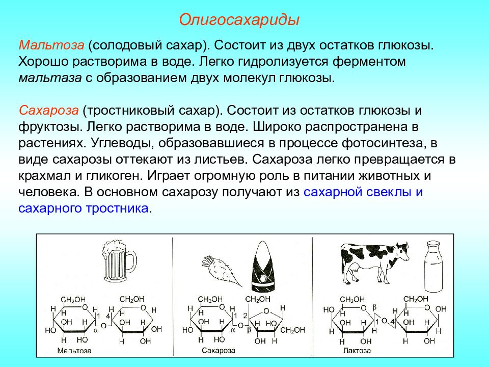 Проект по теме сахароза
