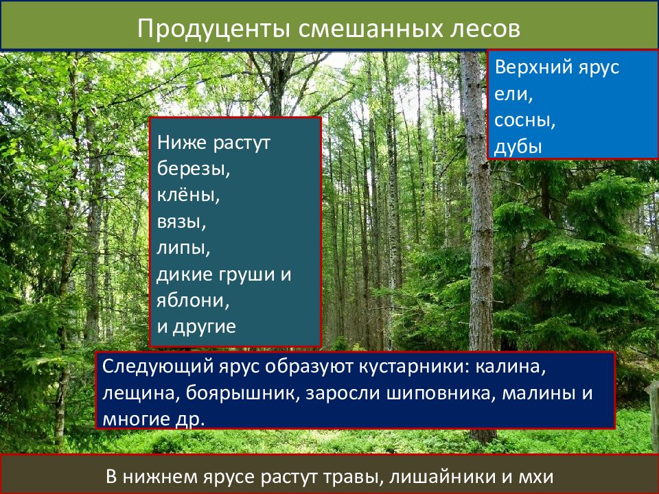 Преобразуйте текст на с 141 143 классификация экосистем в схему приведите примеры