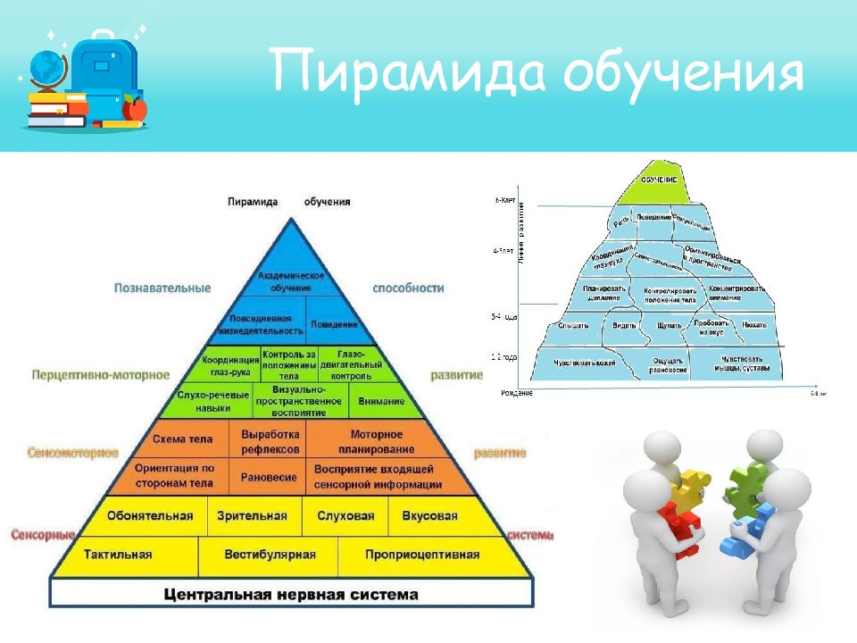 Схема структуры психомоторных способностей по в п озерову предусматривает сколько уровней