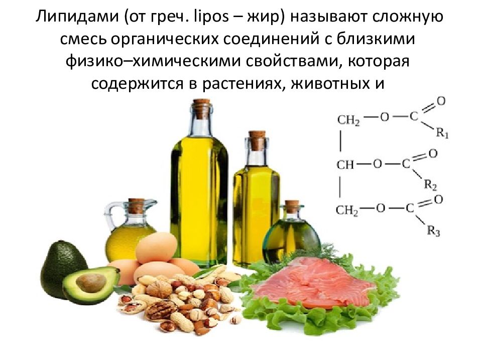 Жиры как продукт питания и химическое сырье презентация