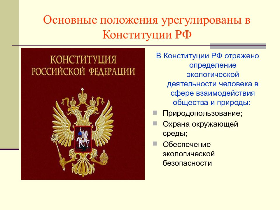 Основные положения конституции. Основные положения Конституции РФ. Основные положения Конституции РФ 1993. Основные положения кон. Общие положения Конституции России.