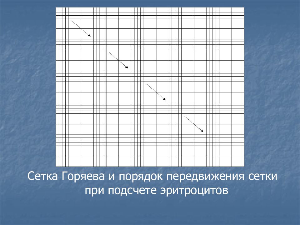 Код бога лекция горяева. Для подсчета эритроцитов в Счетной камере Горяева кровь разводят. Подсчет эритроцитов в камере Горяева. Формула расчета лейкоцитов в камере Горяева. Подсчет эритроцитов в камере Горяева схема.