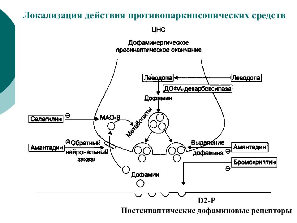 Механизм действия гамк схема