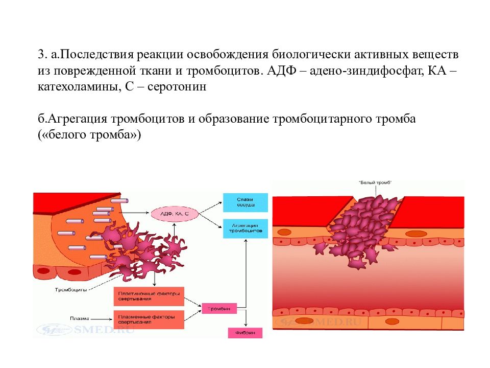 Поврежденных тканей. Катехоламины и агрегация тромбоцитов. Тромбоциты гемостаз. АДФ тромбоцитов. Серотонин и агрегация тромбоцитов.