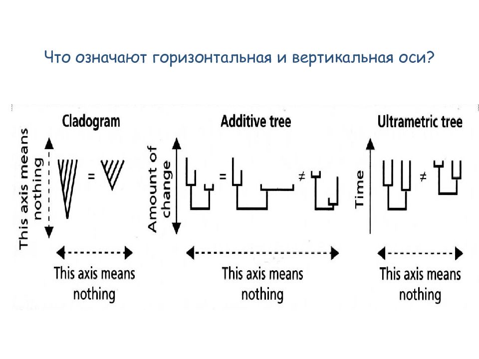 Что значит горизонтально. Что значит горизонтальные и вертикальные. Вертикальная и горизонтальная Эволюция. Вертикальная и горизонтальная ось. Что означает горизонтальная.