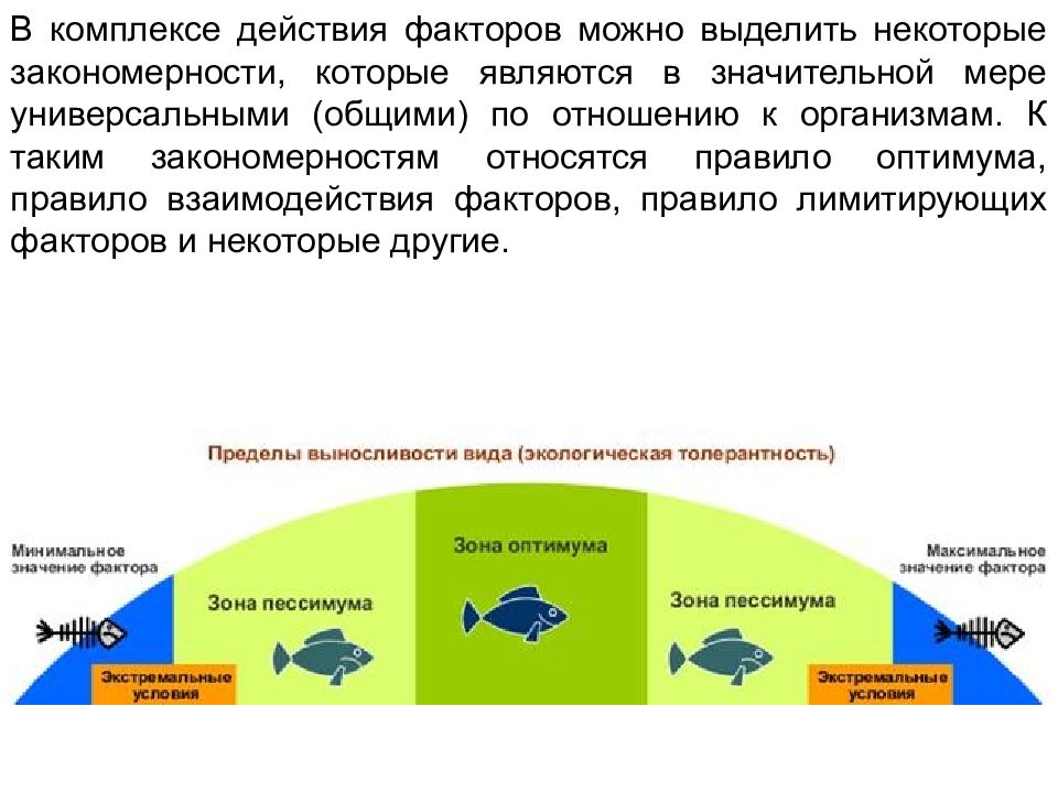 Закономерности действия факторов среды на организмы презентация 9 класс пономарева