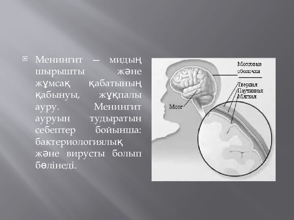 Менингит презентация казакша