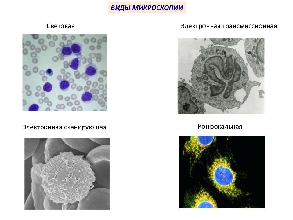 Перечислить методы микроскопии