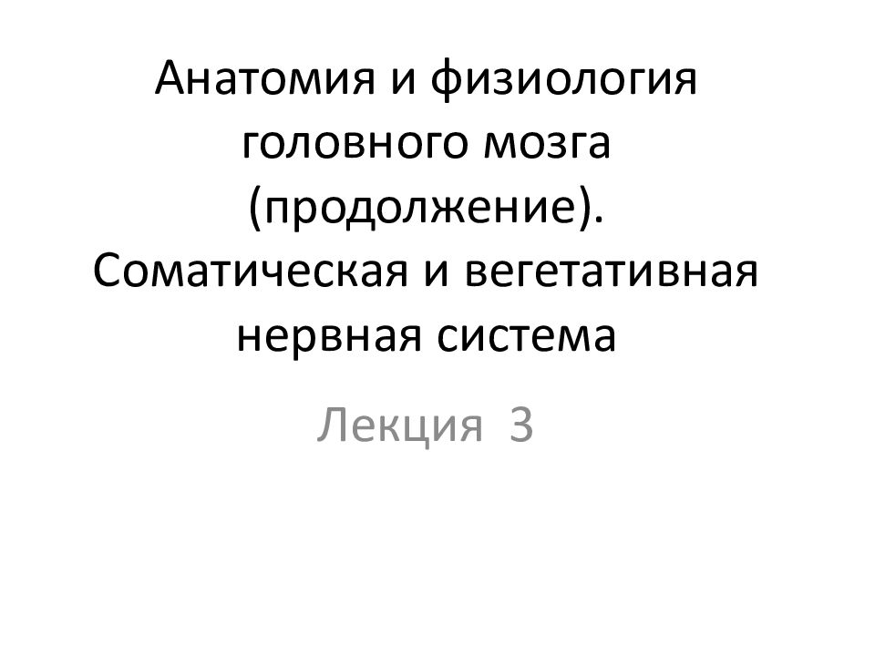 Анатомия и физиология головного мозга (продолжение). Соматическая и вегетативная нервная система