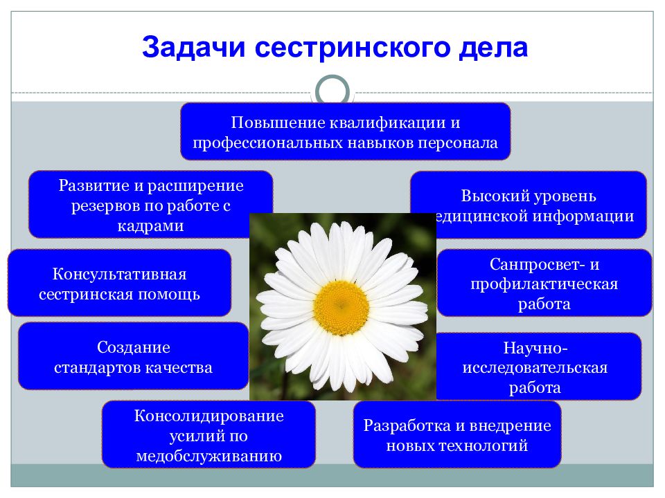 Профессиональные задачи медсестры. Философия сестринского дела презентация. Требования предъявляемые к целям сестринского процесса. Принципы сестринского дела. Задачи развития сестринского дела.