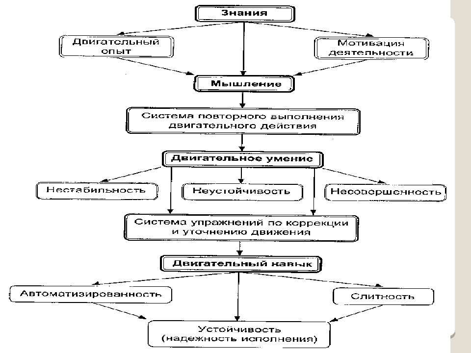 Структура двигательных навыков