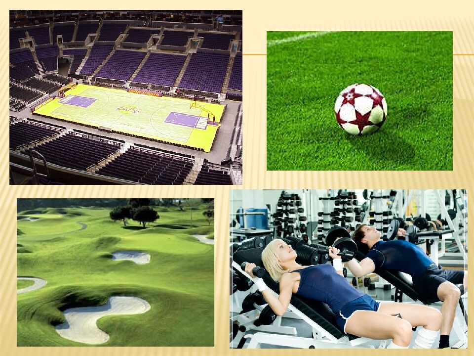 СПОРТКОМПЛЕКС «ОЛИМП »