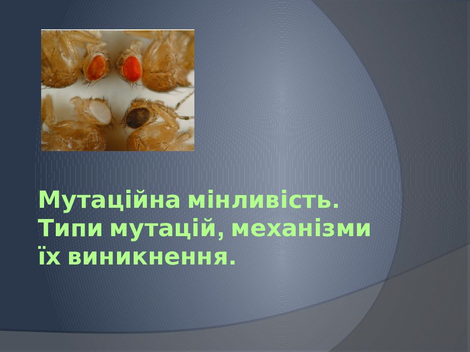 Мутаційна мінливість. Типи мутацій, механізми їх виникнення.