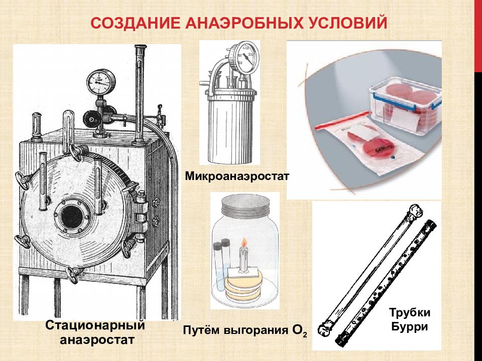 Анаэробное культивирование. Приборы для культивирования анаэробов. Микроанаэростат микробиология. Способы создания анаэробных условий микробиология. Микроанаэростат и его устройство.