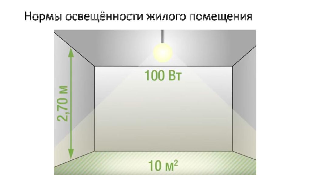 Социальная норма света