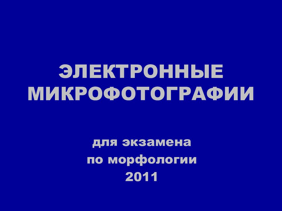 ЭЛЕКТРОННЫЕ МИКРОФОТОГРАФИИ