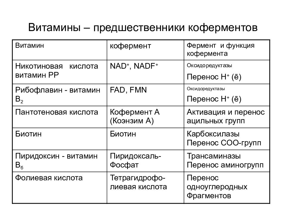 Ферменты и их роль в организме человека презентация 8 класс пасечник линия жизни