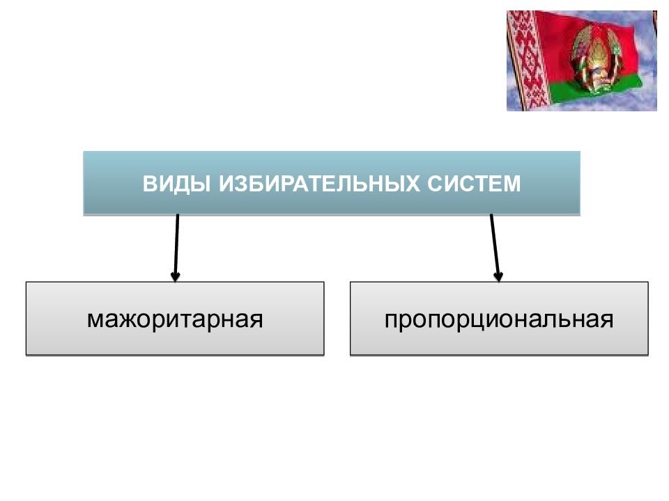 Какой системе в беларуси. Избирательная система в Республике Беларусь. Виды избирательных систем. Виды мажоритарной избирательной системы. Белорусская избирательная система.