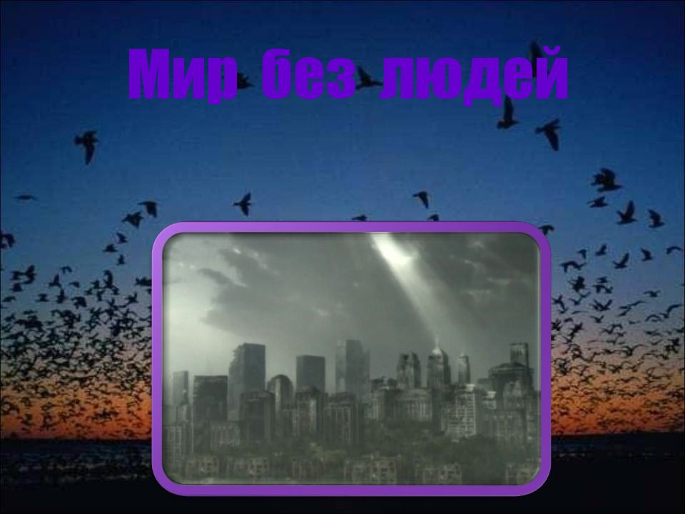 Мир без людей