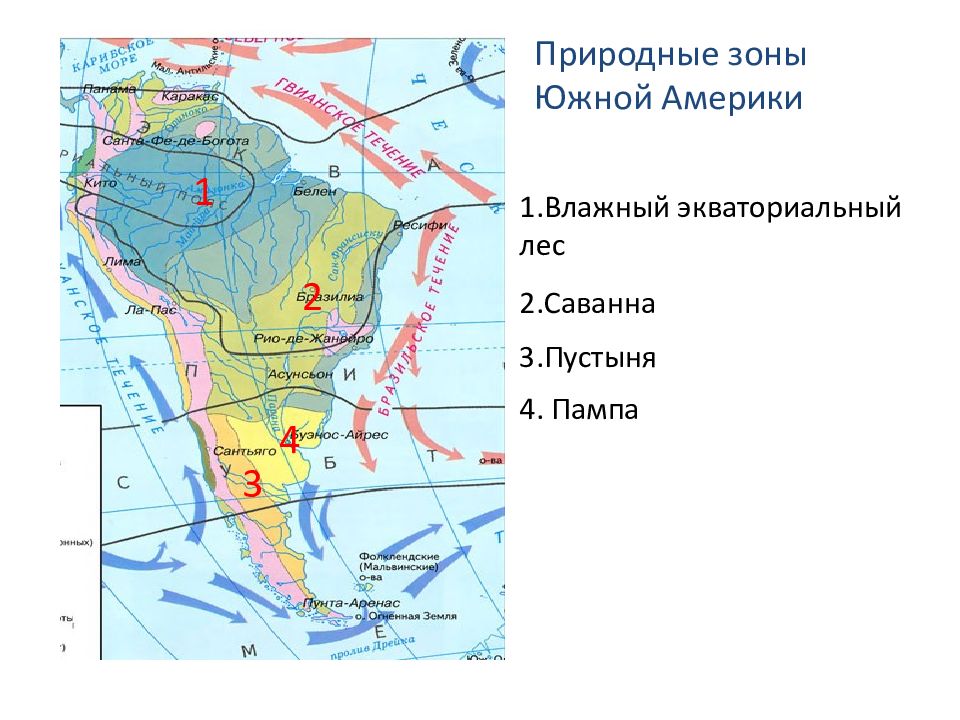 Южная америка какая природная зона. Карта природных зон Южной Америки. Карта климатических зон Южной Америки. Климатические зоны Южной Америки. Природные зоны Южной Америки влажные экваториальные леса.